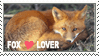 fox lover
